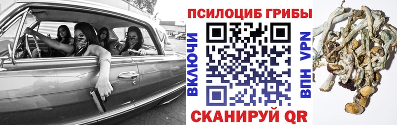 кракен маркетплейс  где купить наркоту  Ирбит  Галлюциногенные грибы MAGIC MUSHROOMS 